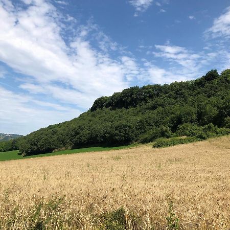 Agriturismo L'Esinante Cupramontana Luaran gambar