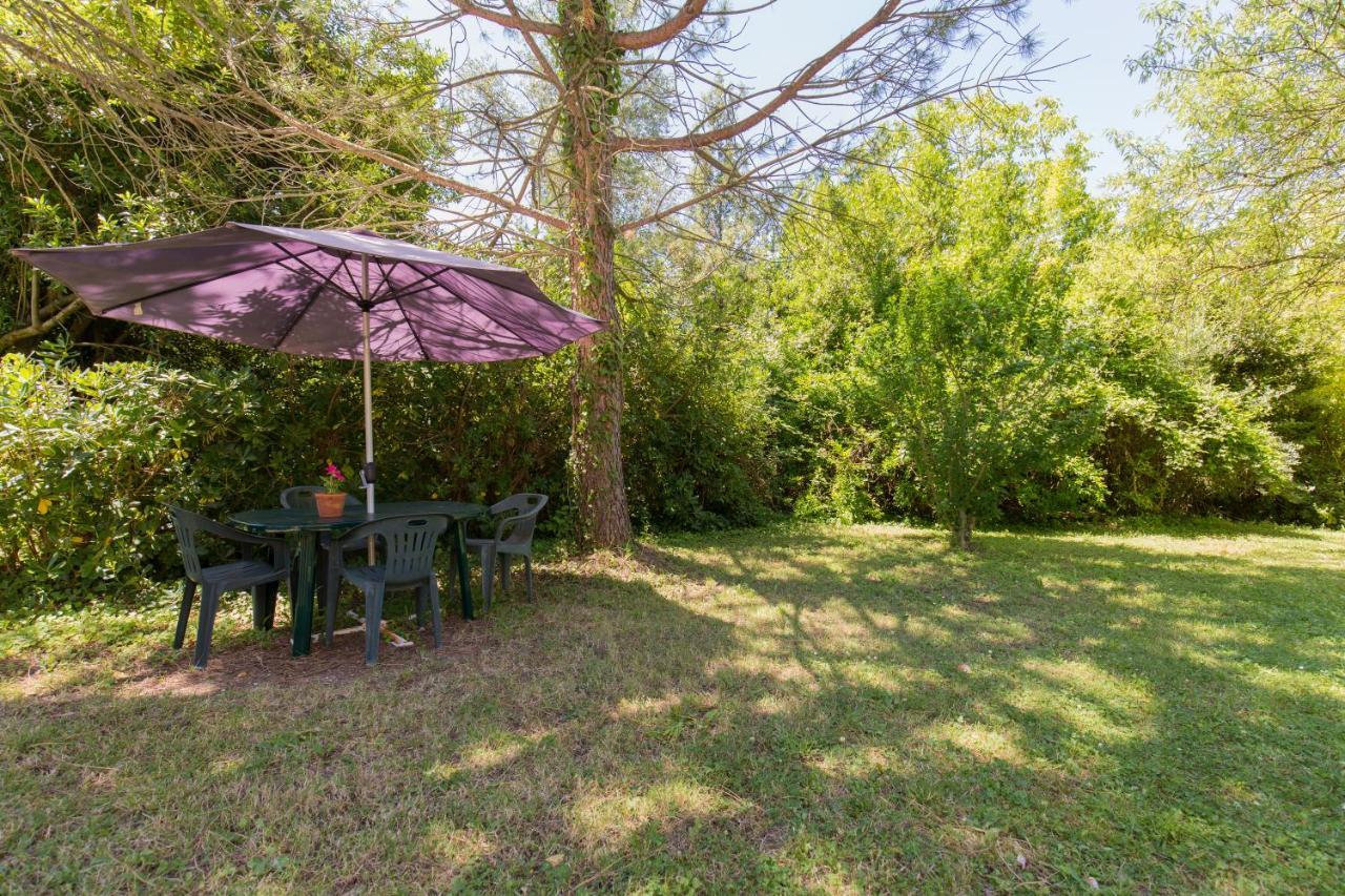 Agriturismo L'Esinante Cupramontana Luaran gambar