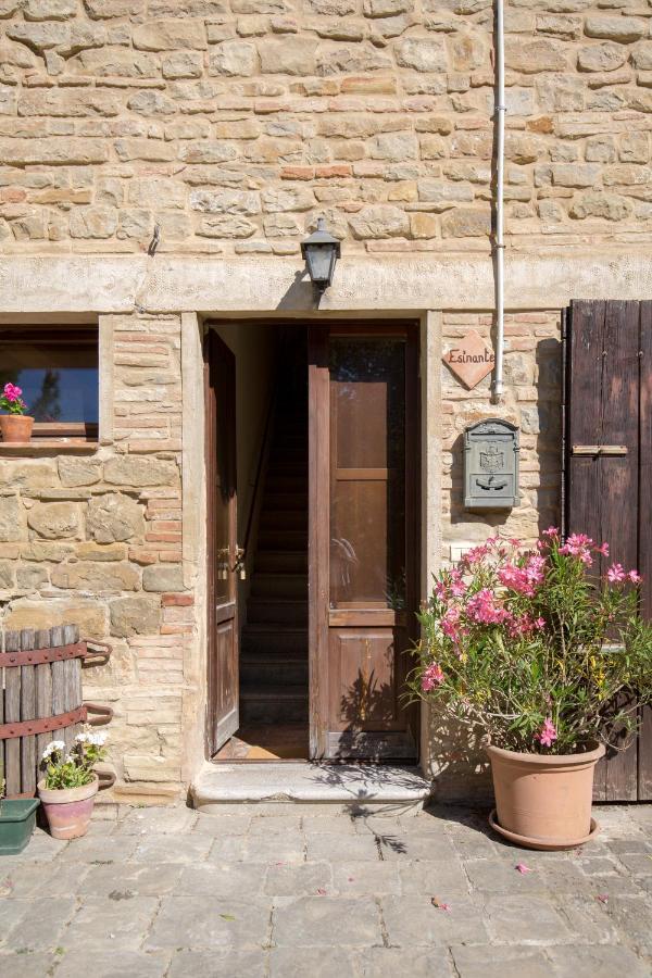 Agriturismo L'Esinante Cupramontana Luaran gambar